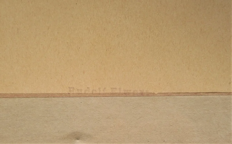 Foto5.JPG