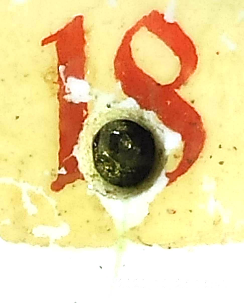 doxa16.jpg