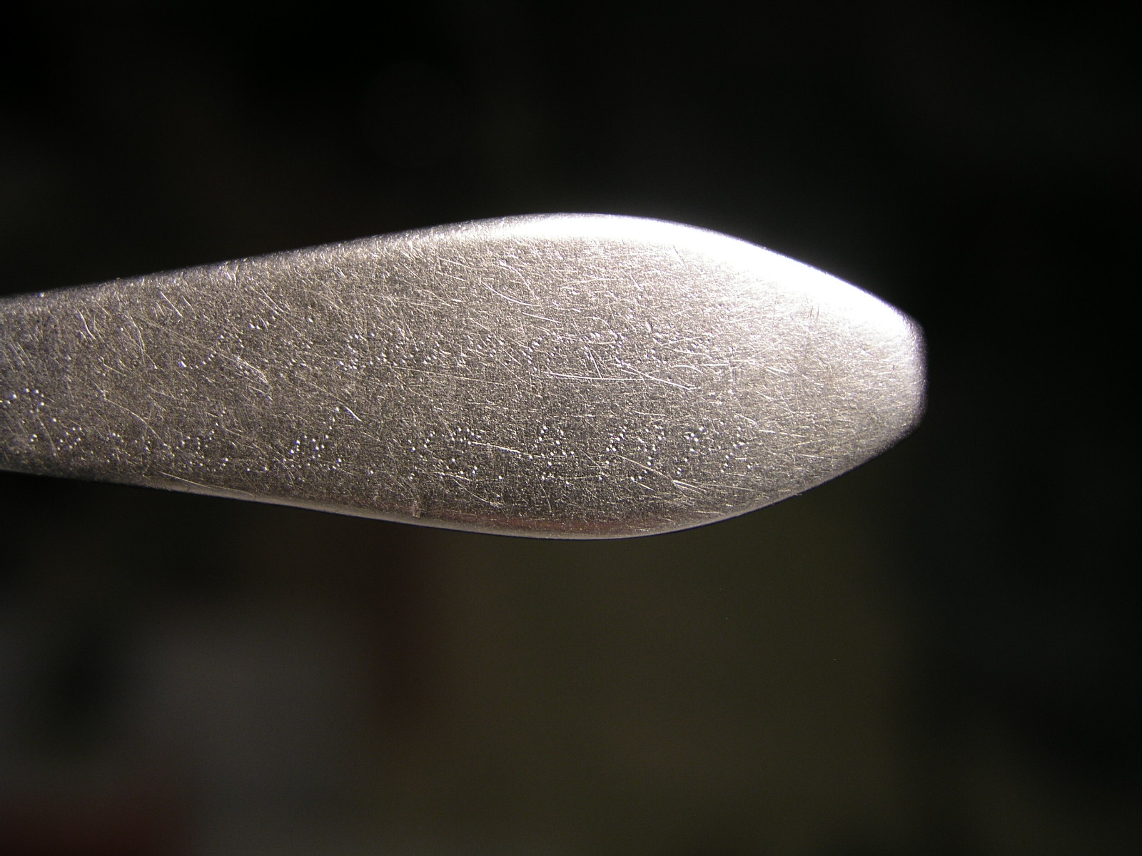 P1010022.JPG