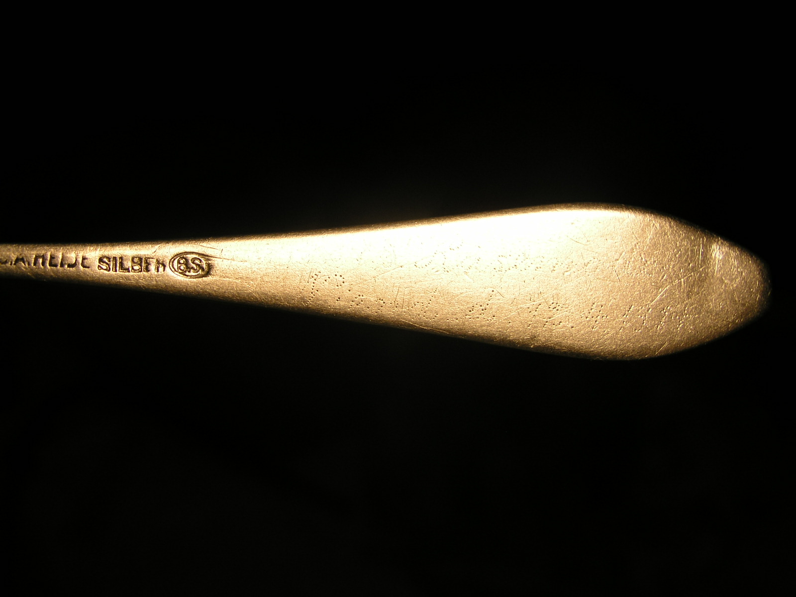 P1010019.JPG