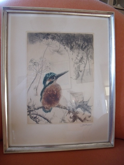 Eisvogel II.JPG
