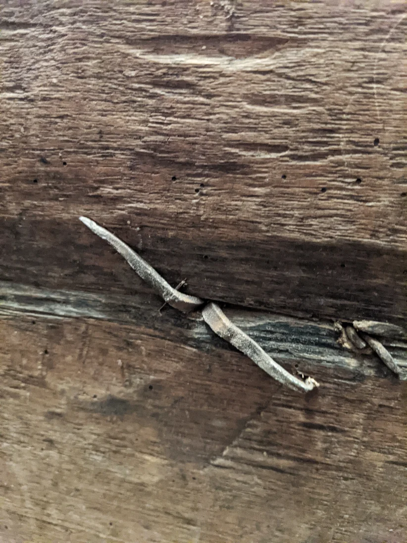 PXL_20201127_181049727-01.jpeg