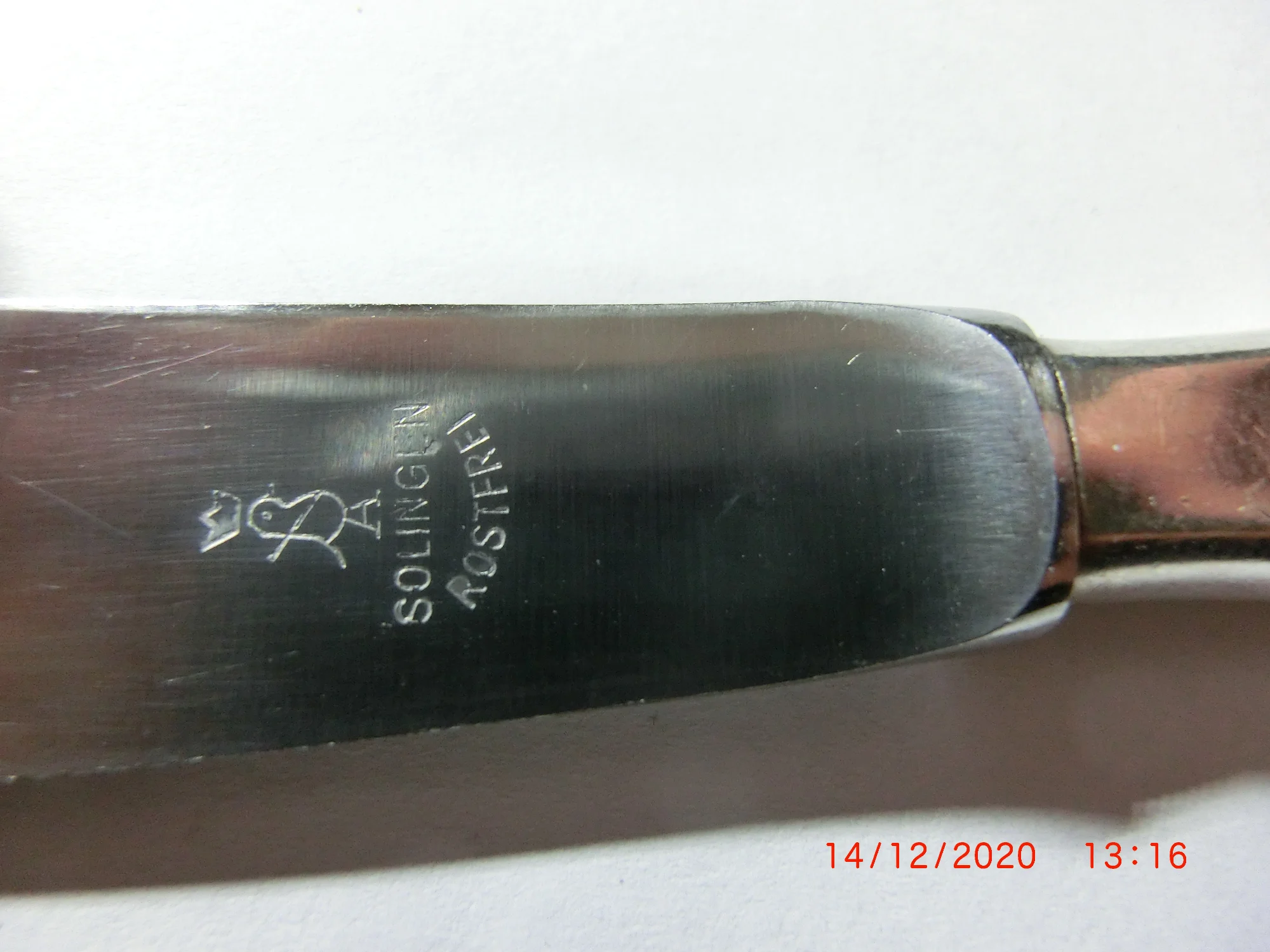 CIMG9923.JPG