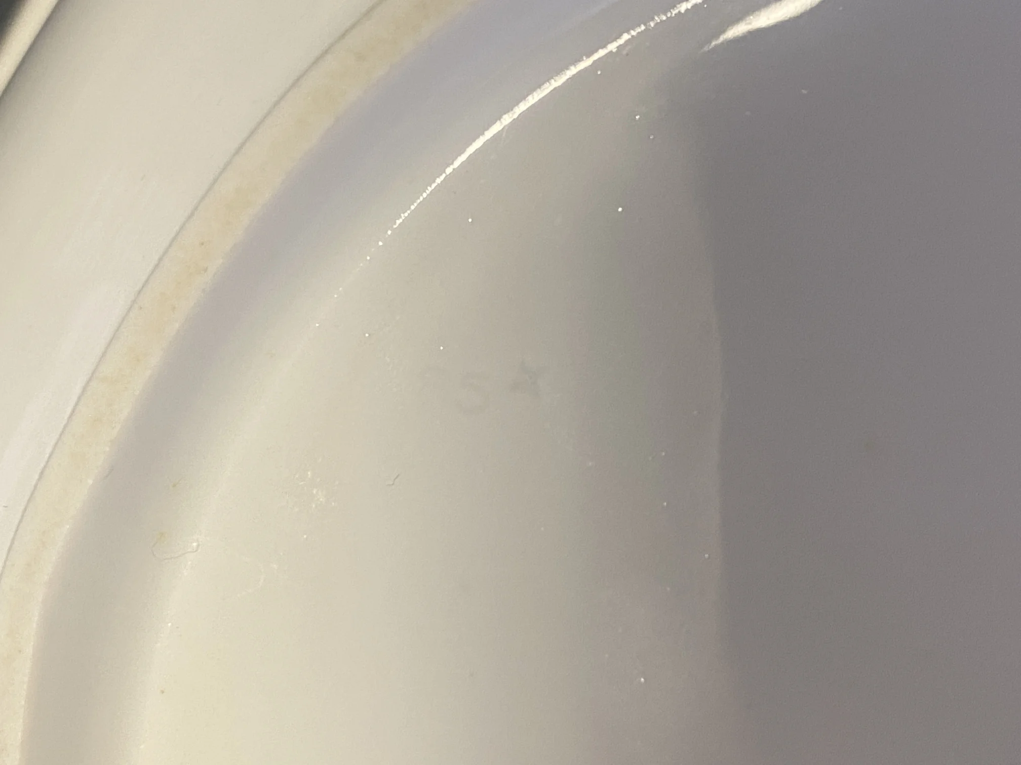 977F2782-2EB8-491C-A8D9-6C4318D322A3.jpeg