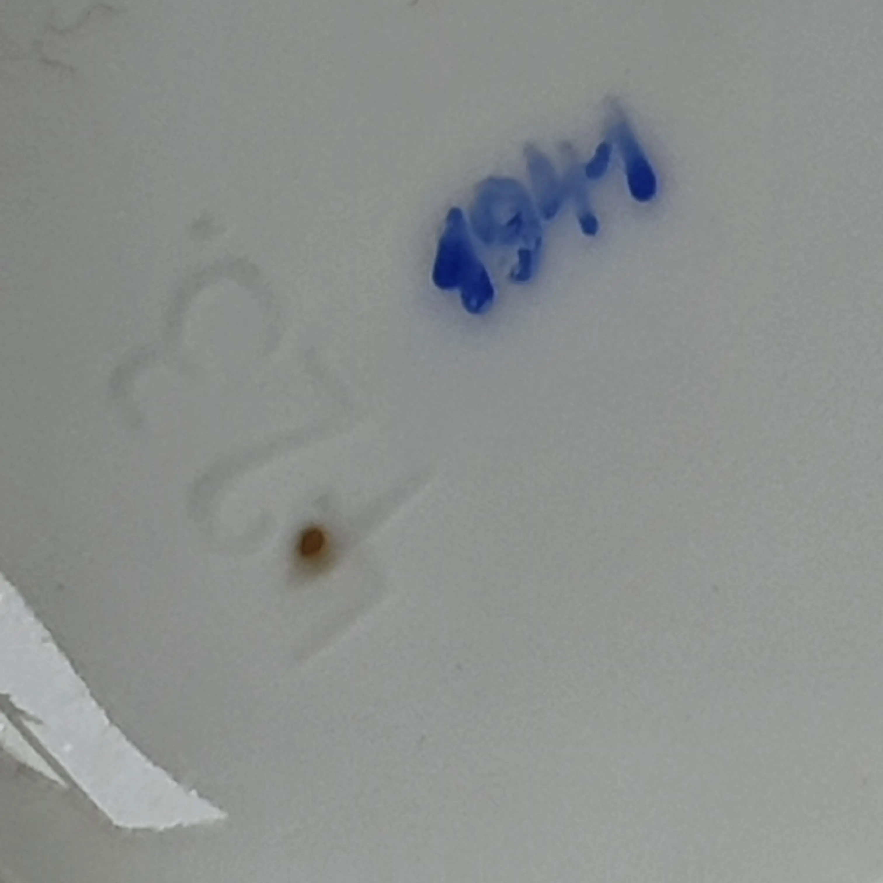 20201217_112924.jpg