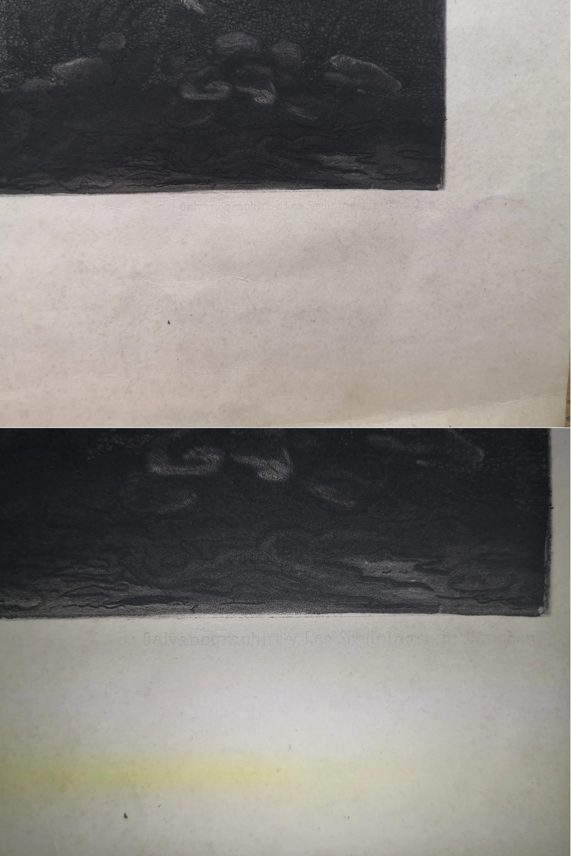 riedel-rechts-med.jpg