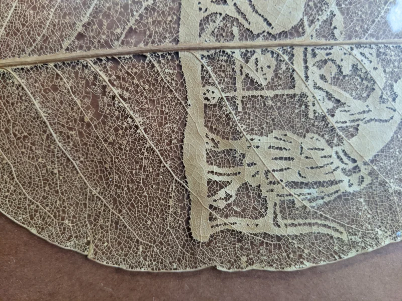 PXL_20201225_114147896.jpg