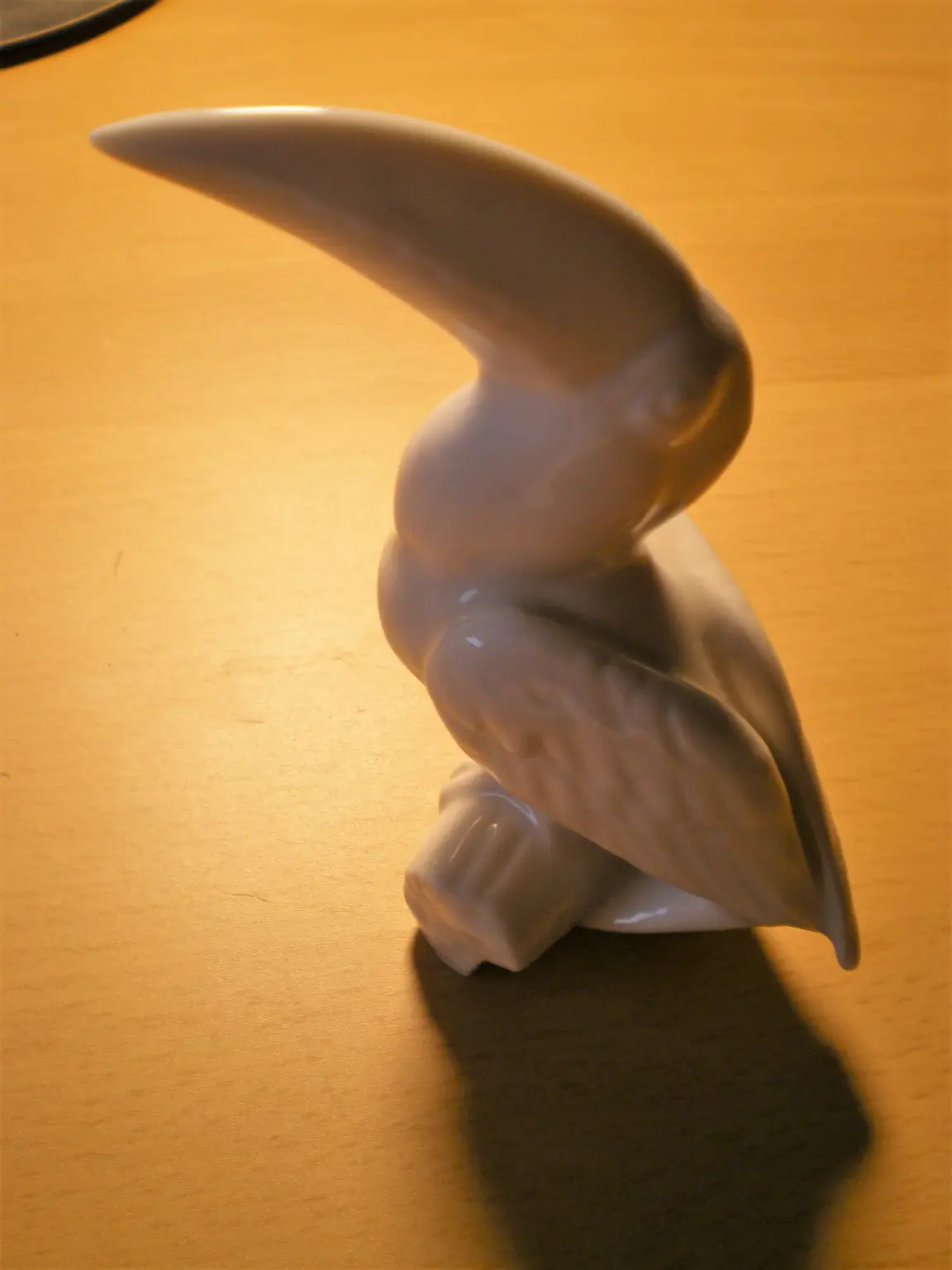 IMGP7181.JPG