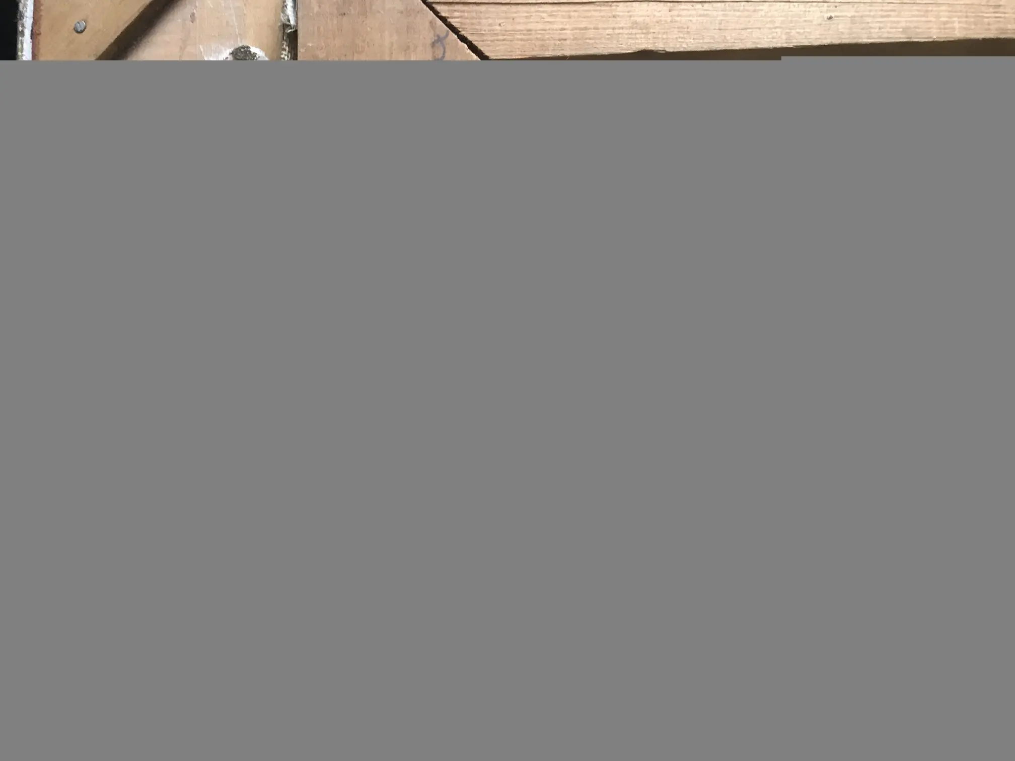 E1185487-DD89-4F29-A774-D500BB381893.jpeg