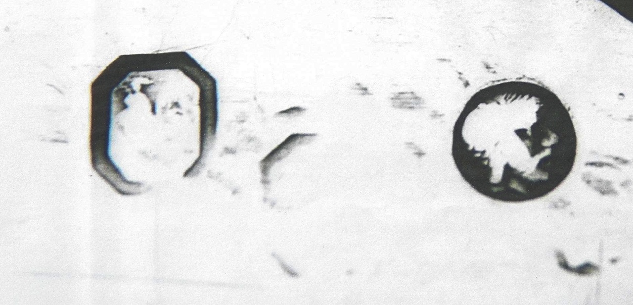 stempel1.jpg