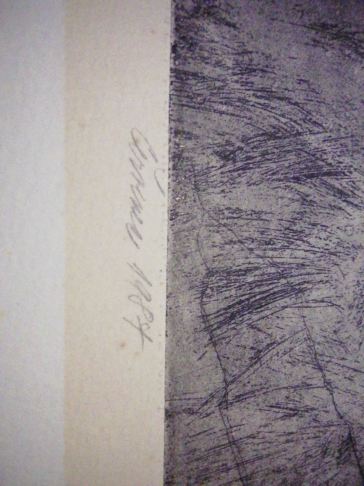 16114171235888353115318076385026.jpg