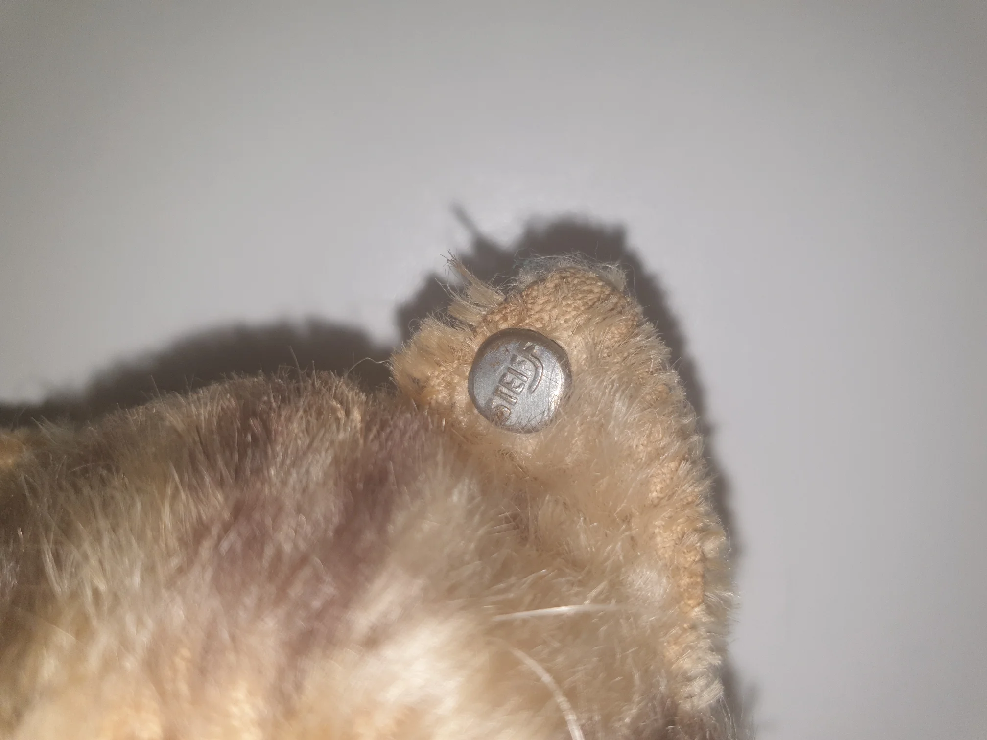 20210124_122403.jpg