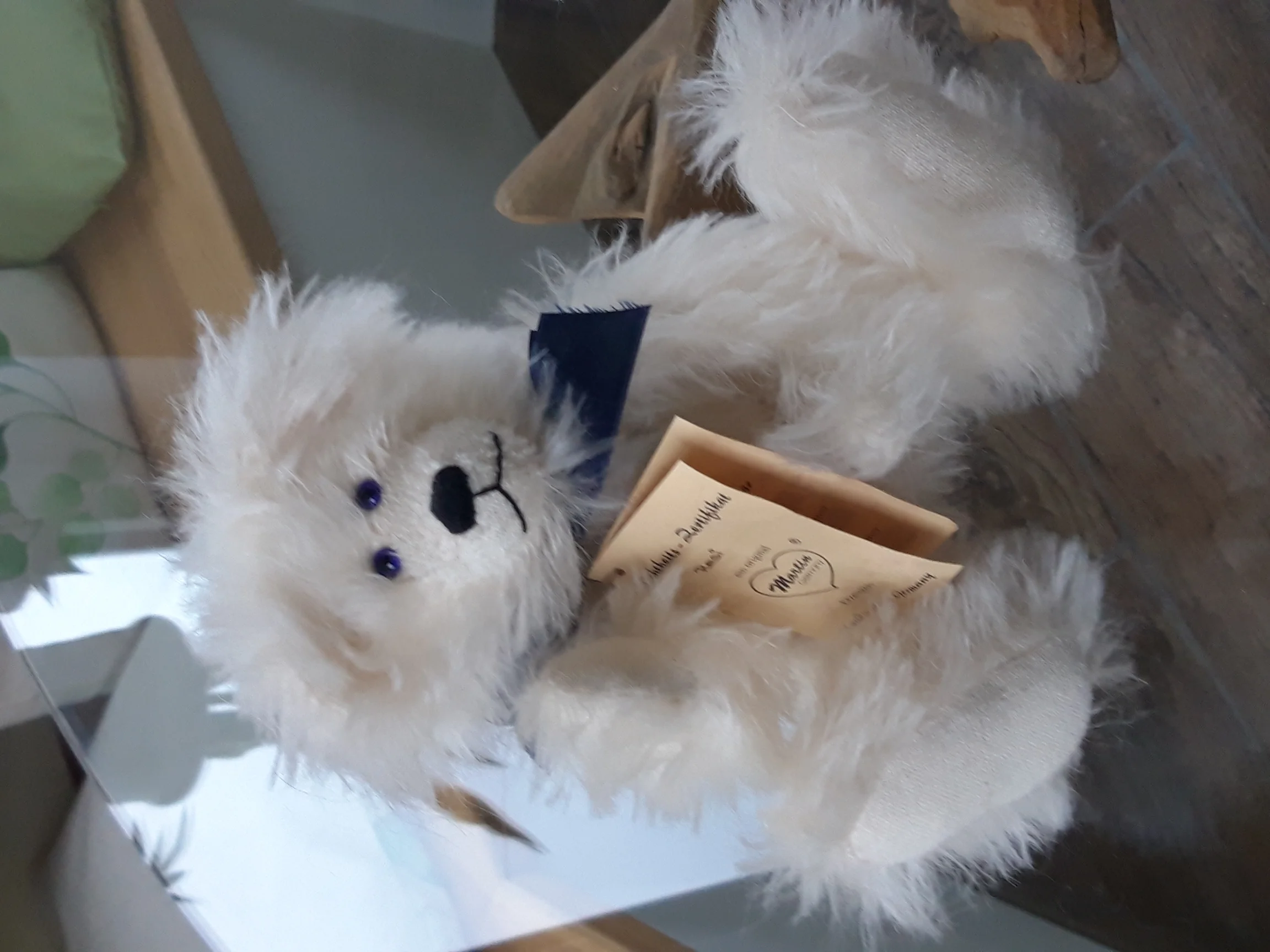 Martinbär (2).jpg