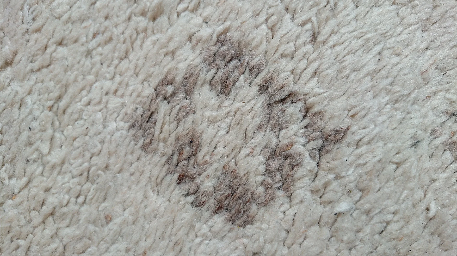 DSC_1754.jpg