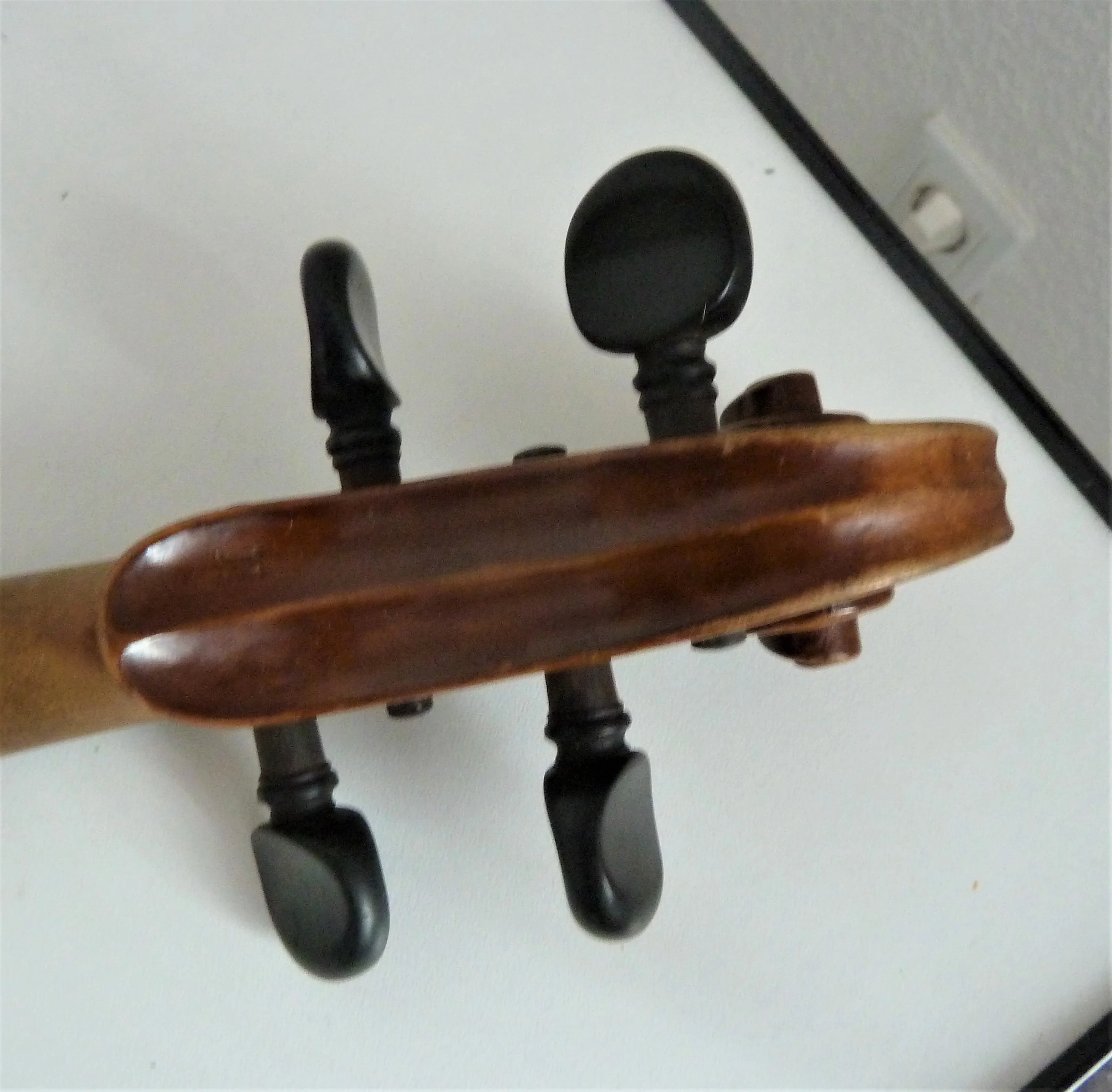P1150020.JPG