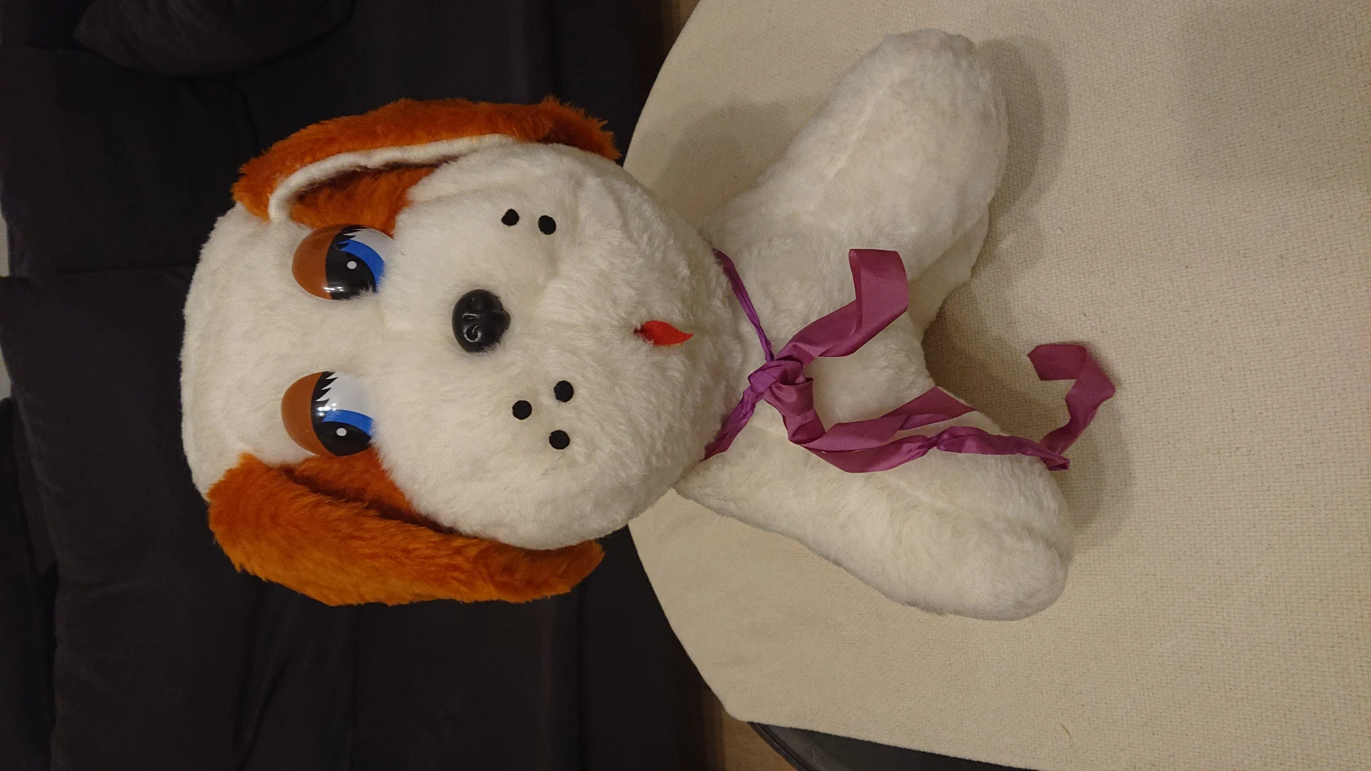 IMG-20210213-WA0017.jpeg