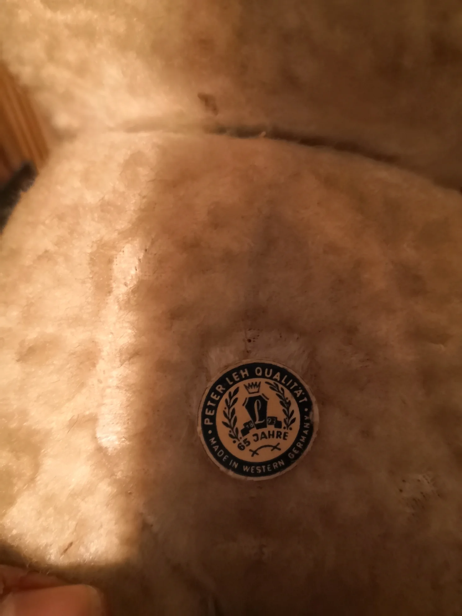 IMG_20210216_184927.jpg