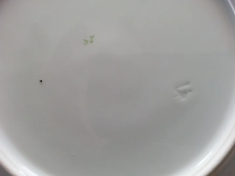 20210216_151741.jpg