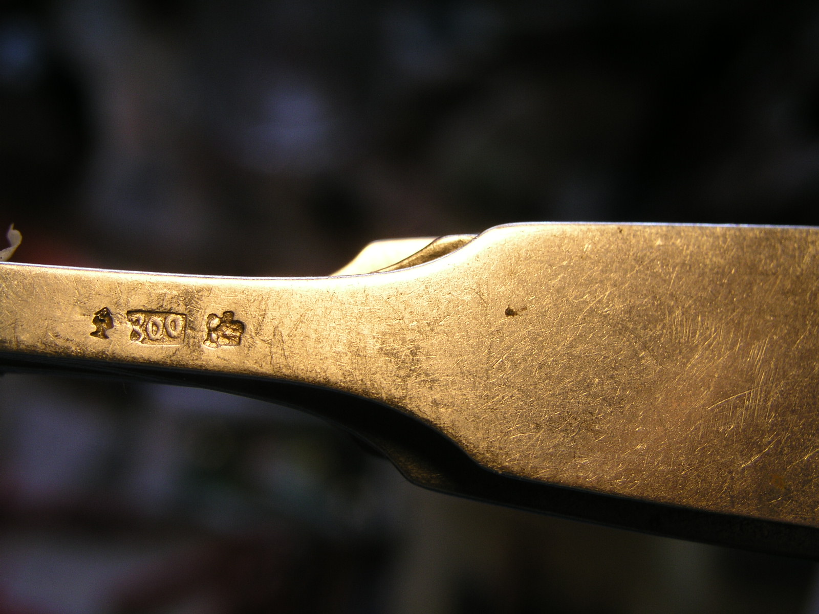 Unbekannt 800 (2).JPG