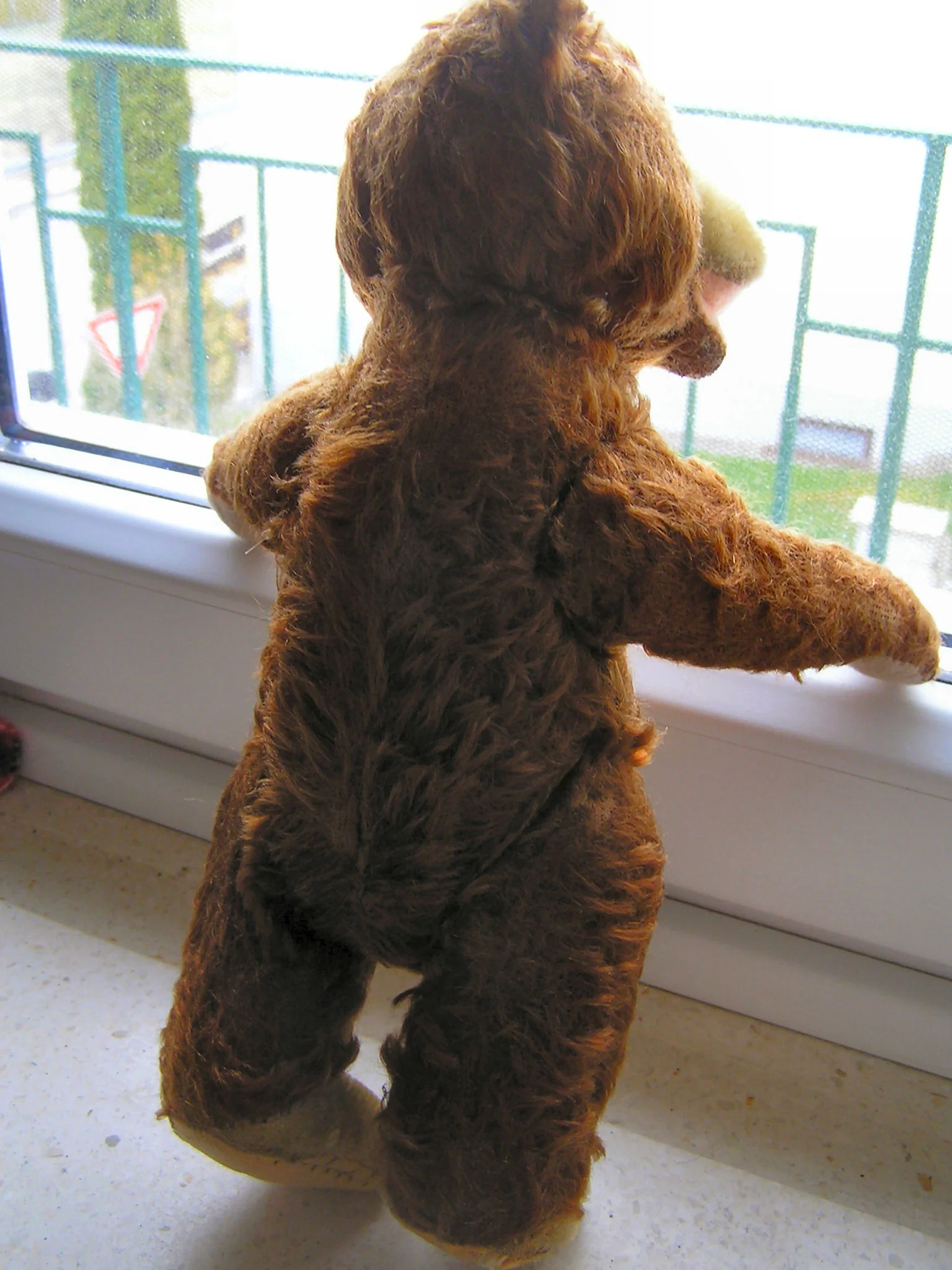 P1010009.JPG