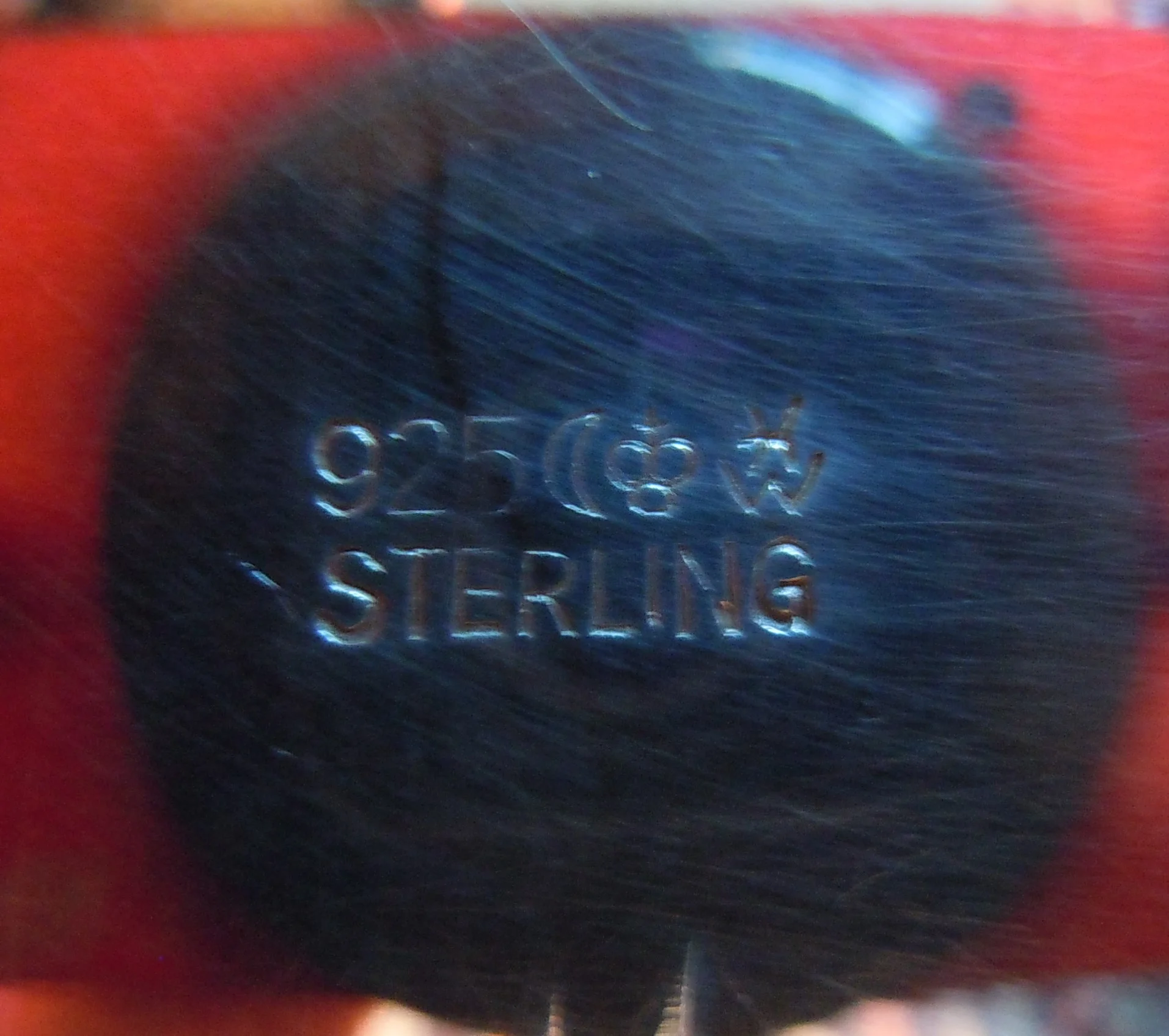 DSCN3574a.jpg
