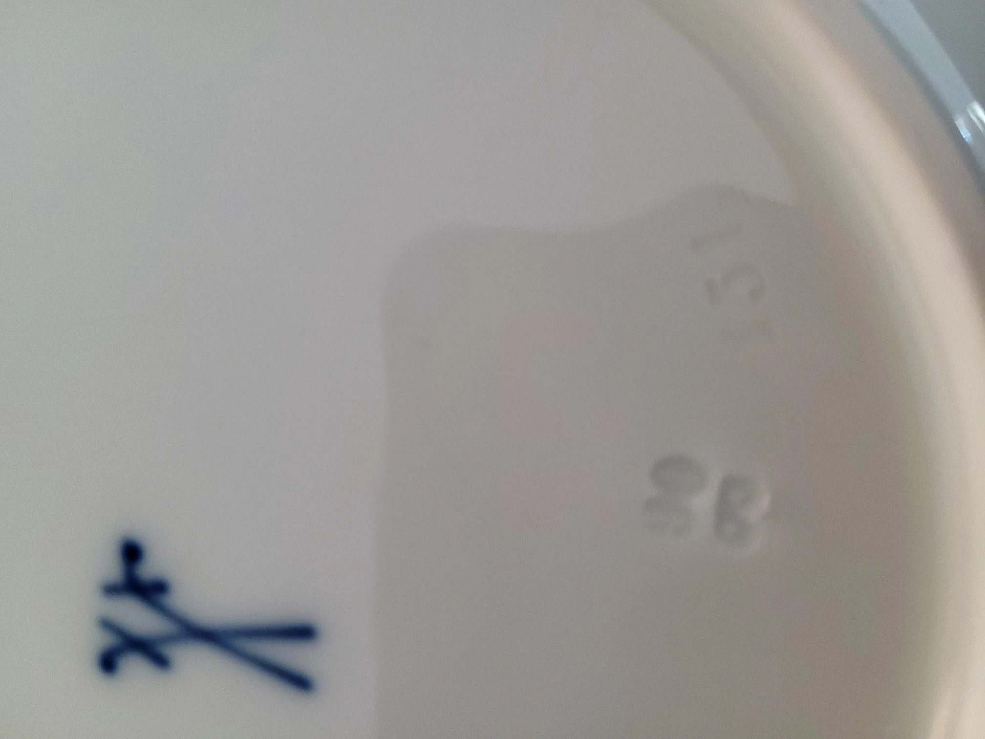 20210415_181805.jpg