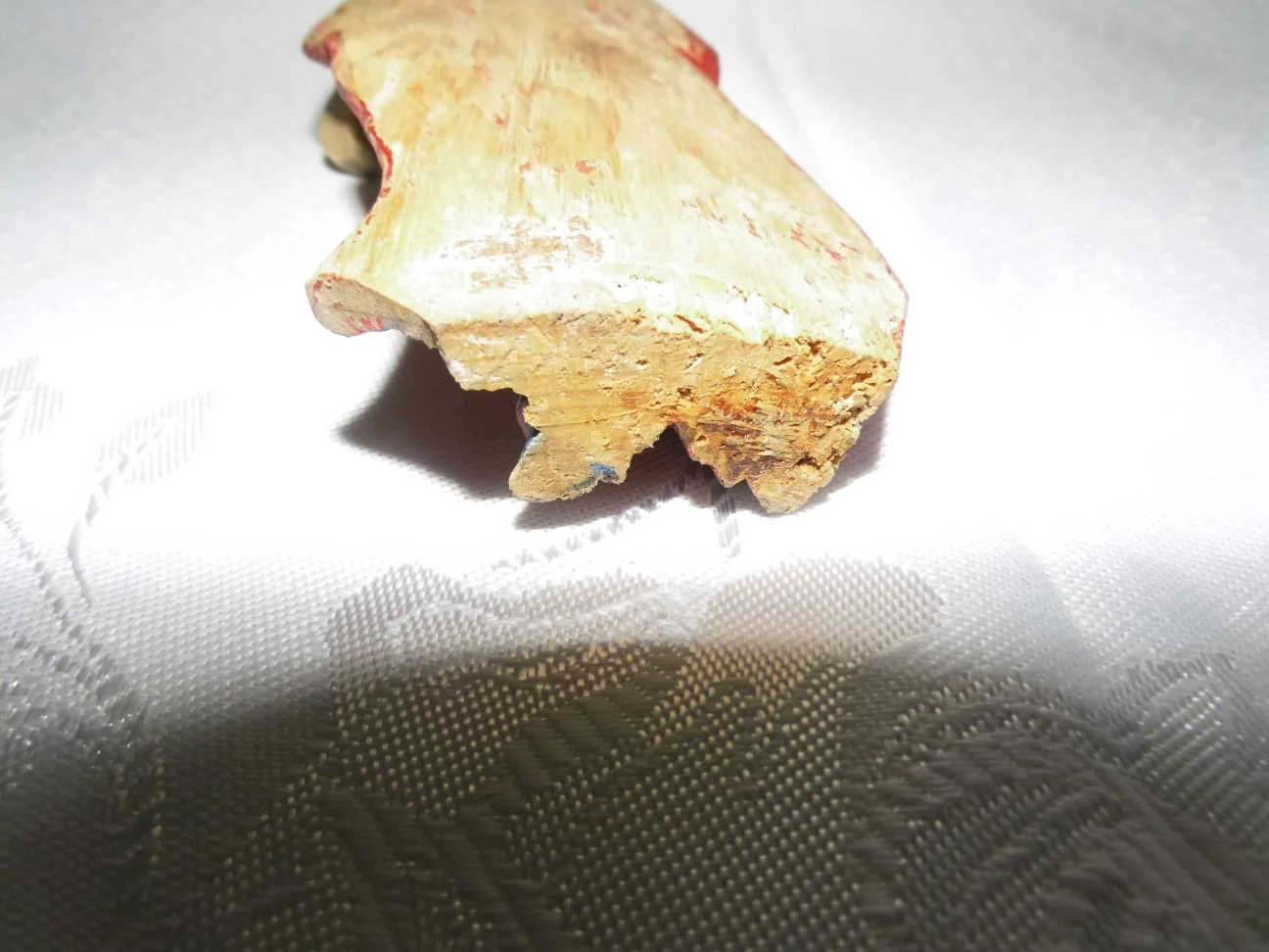 DSCI0973.JPG