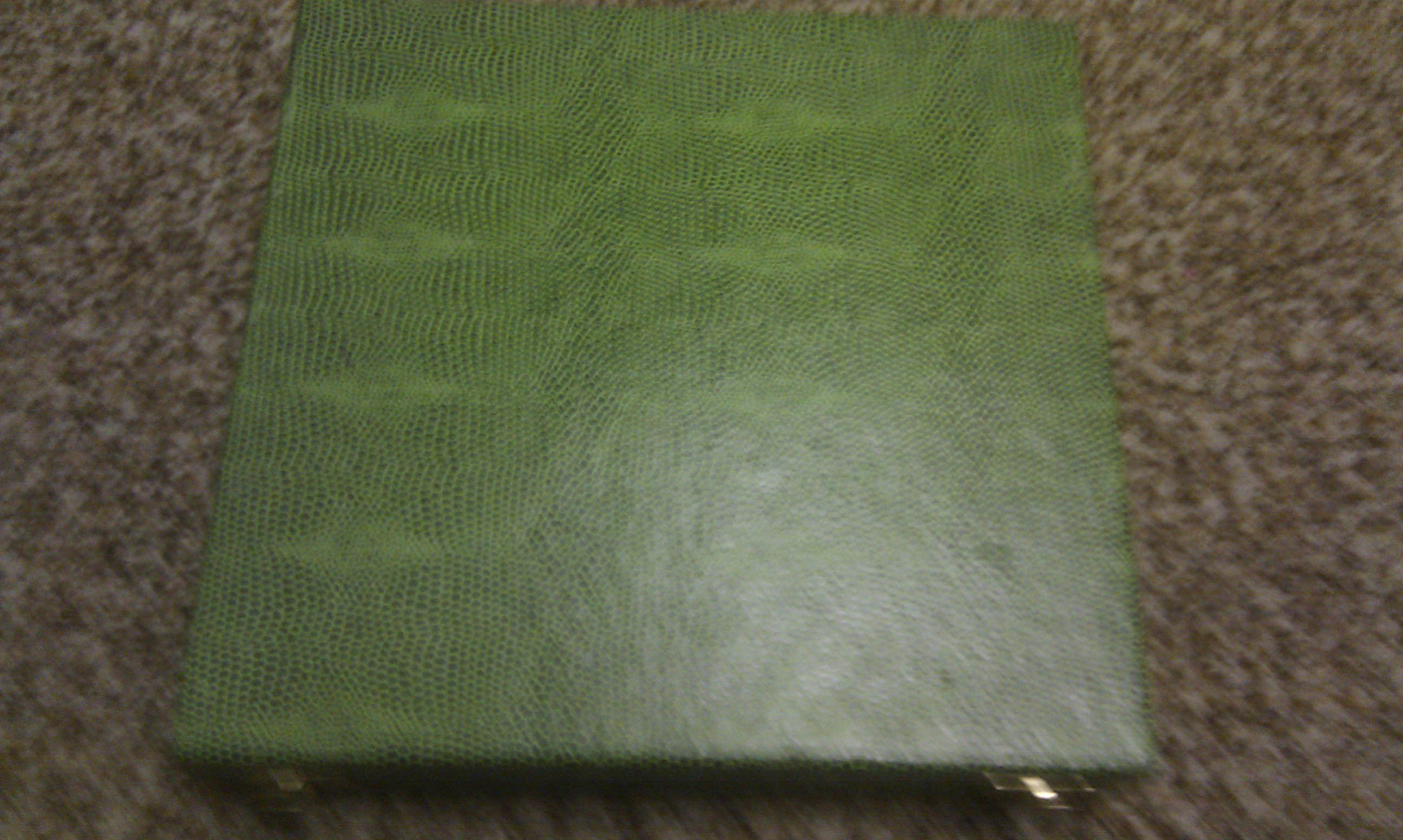 IMAG0444.jpg