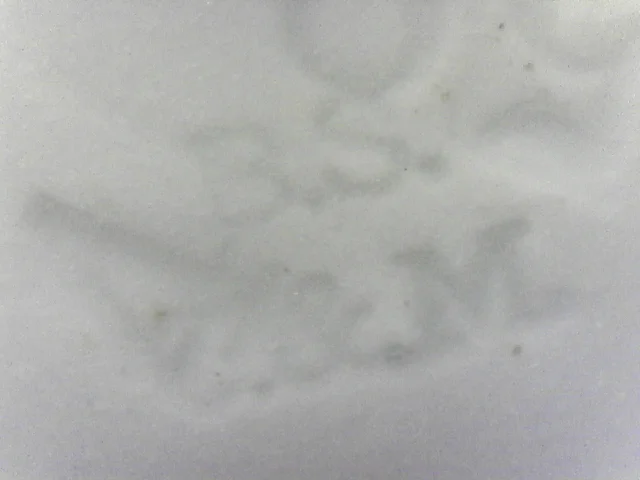 S20210702_0016.jpg