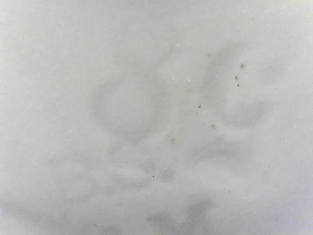 S20210702_0015.jpg