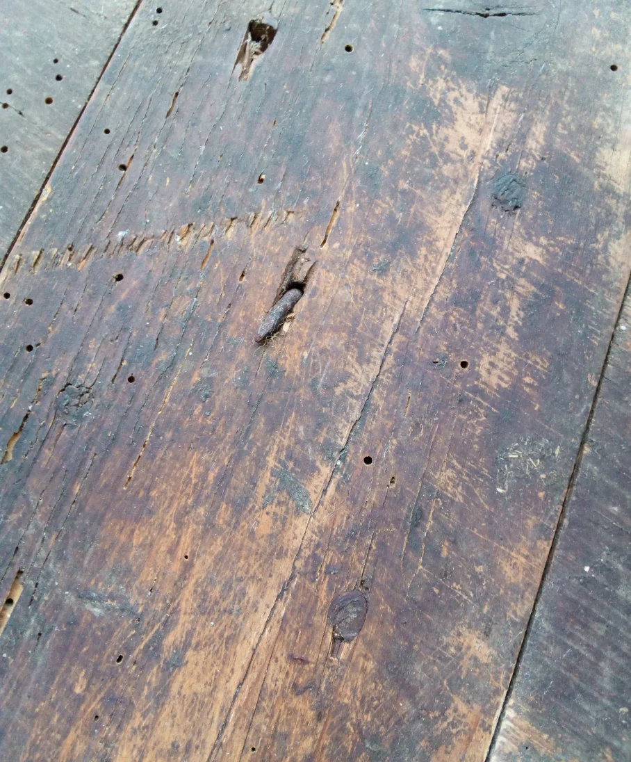 Kreuzsteg von unten, die Holznägel sind auch zu sehen