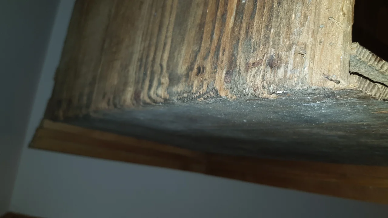 20210815_122803.jpg