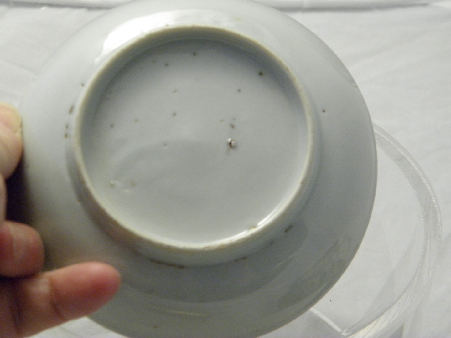 PC213047 (Large).JPG