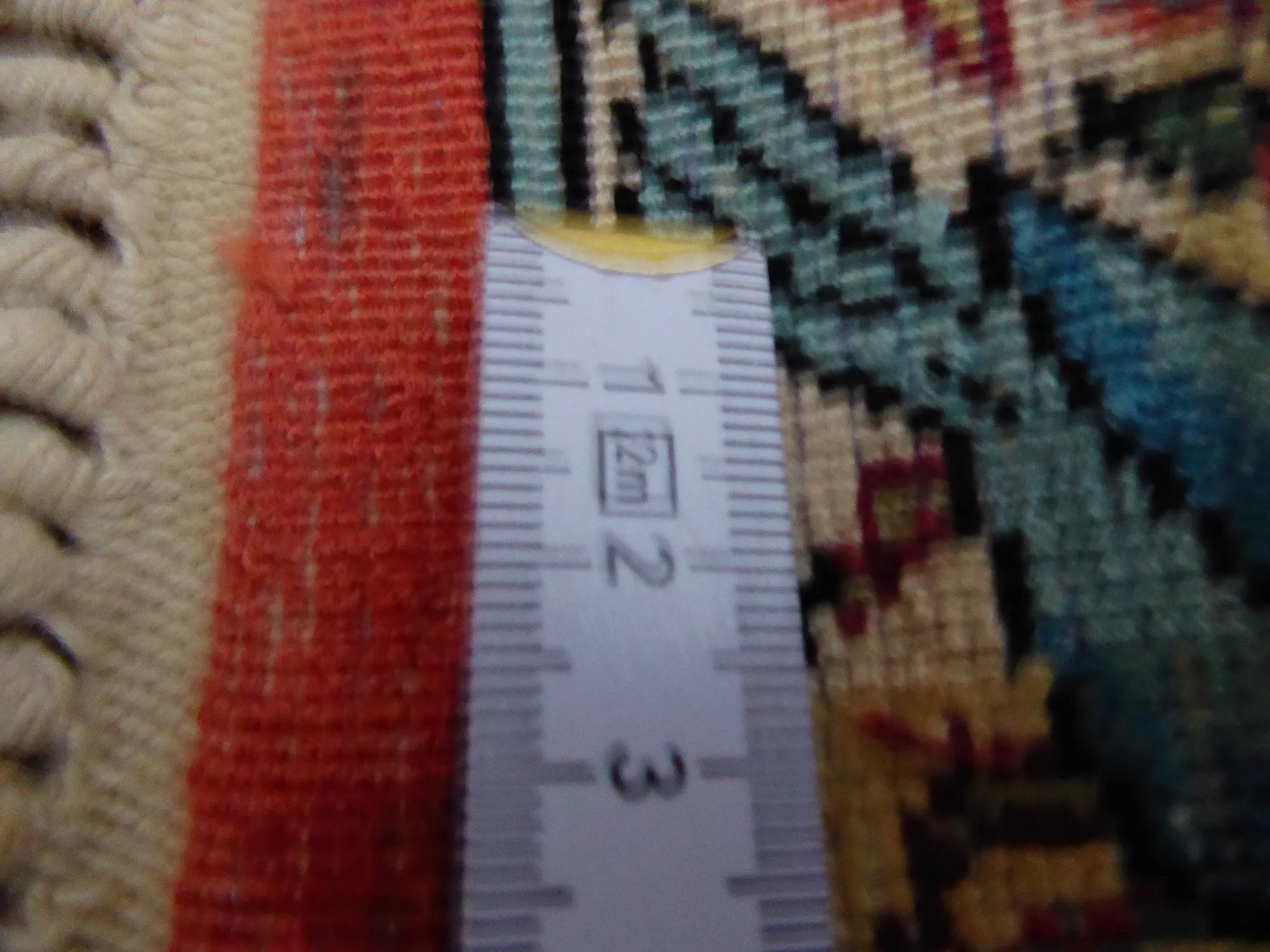 P1000131.JPG