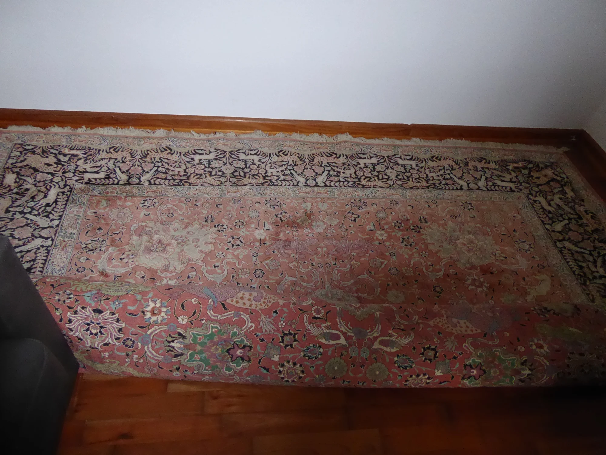 P1000133.JPG