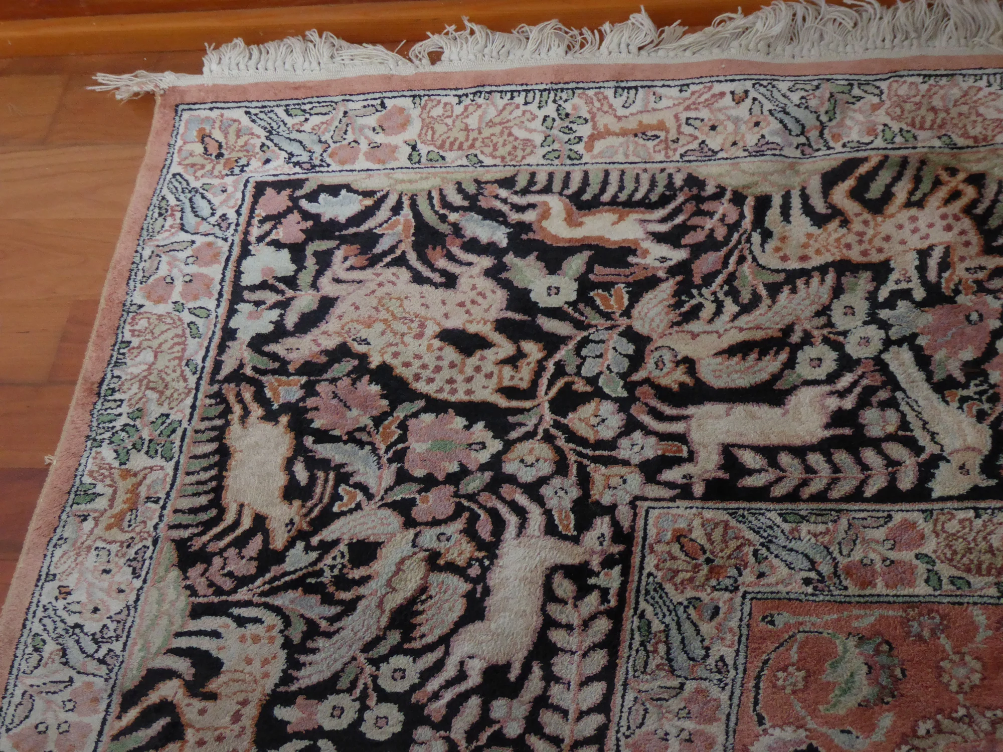 P1000134.JPG