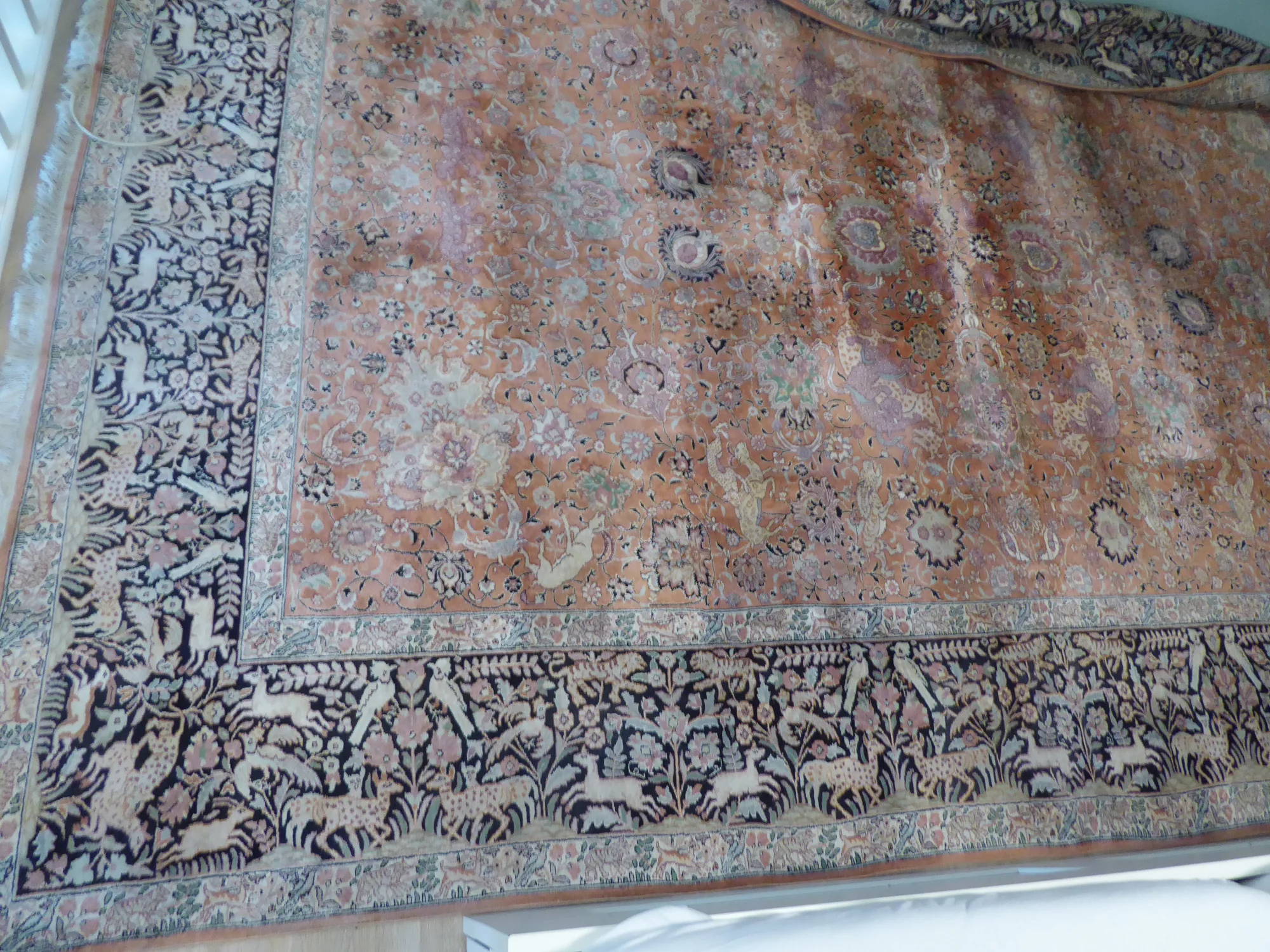 P1000194.JPG