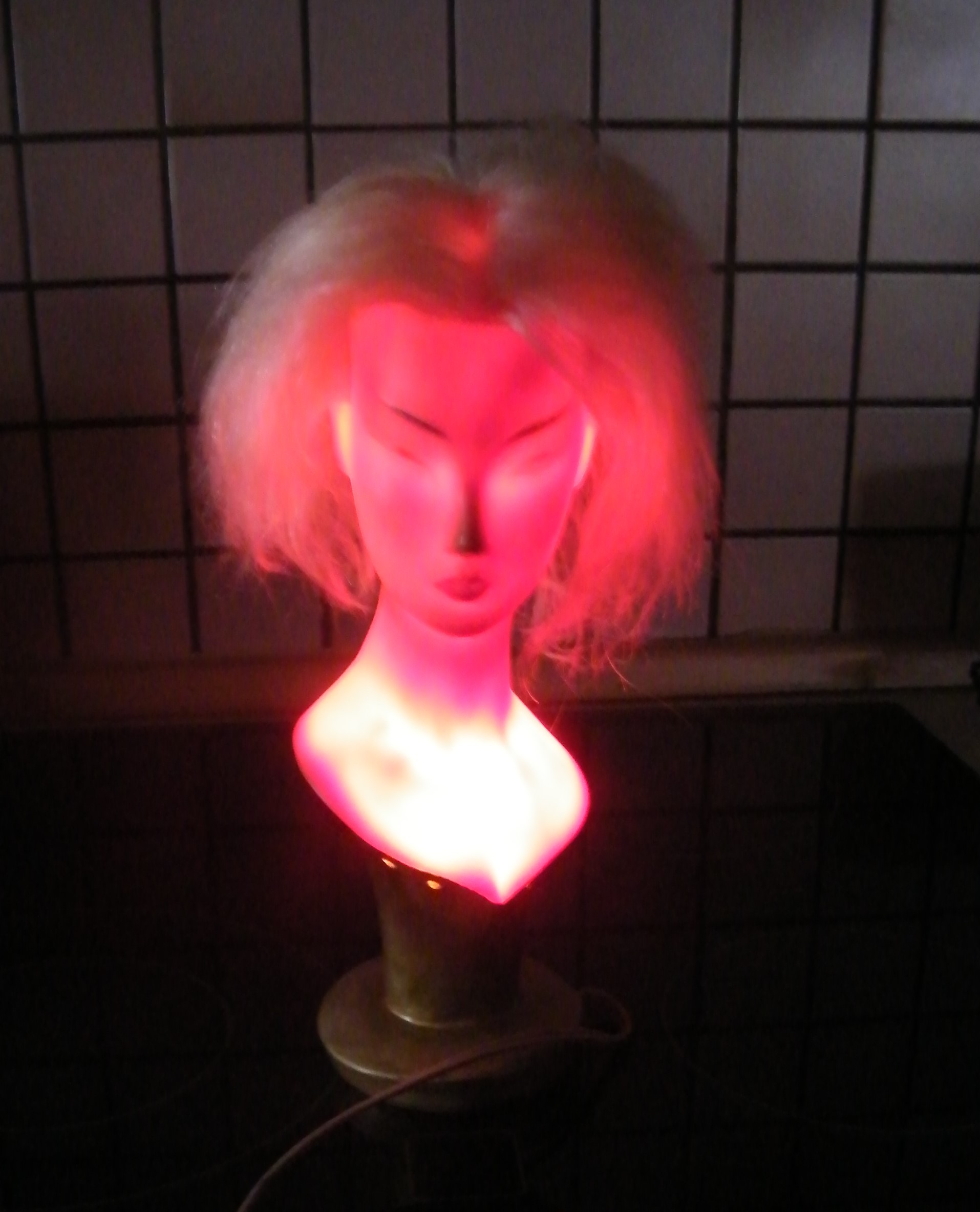DSCF5682.JPG