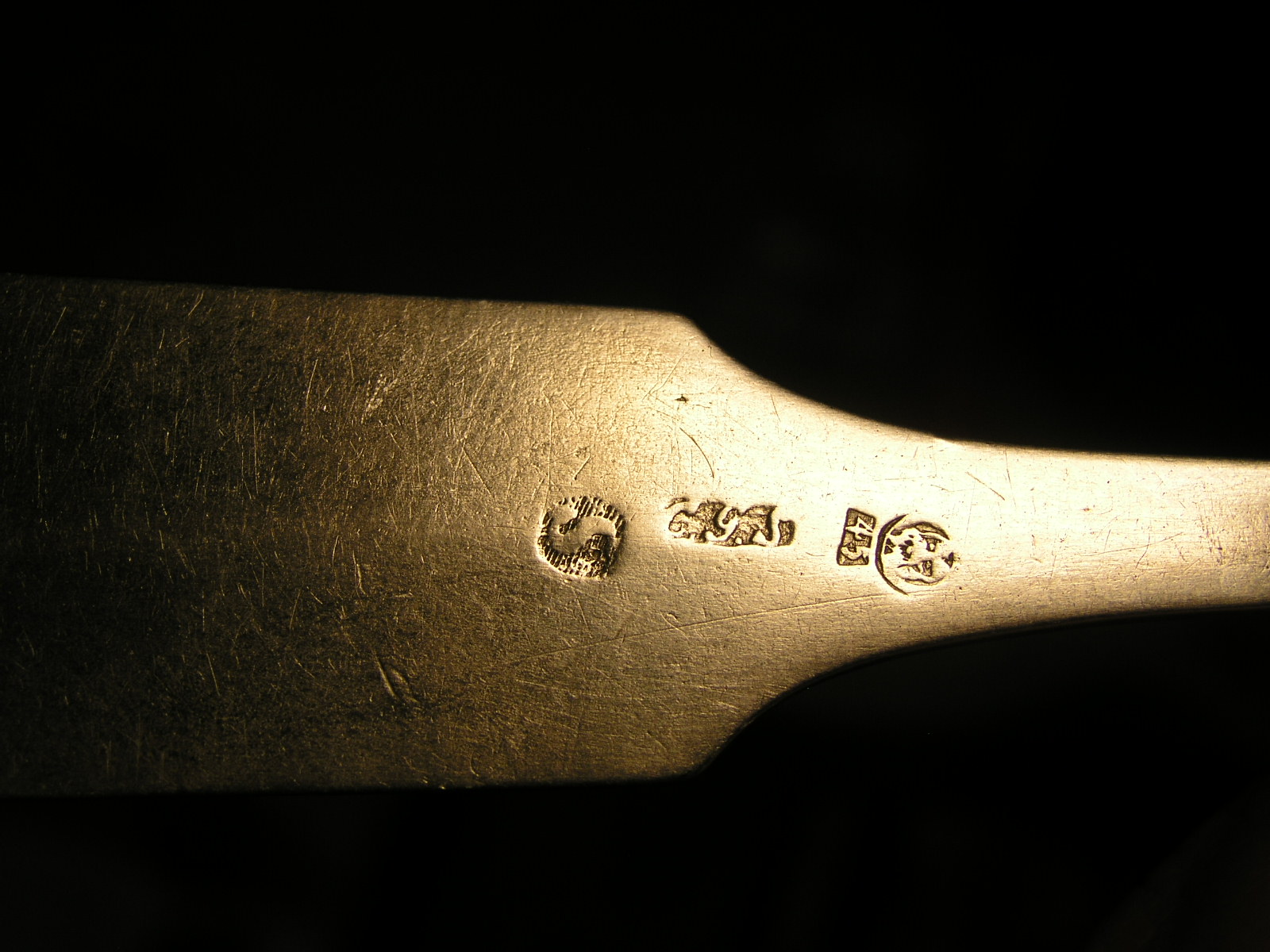P1010026.JPG
