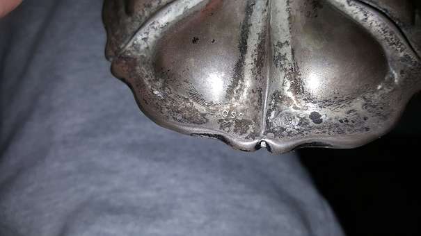 516_784003434.jpg