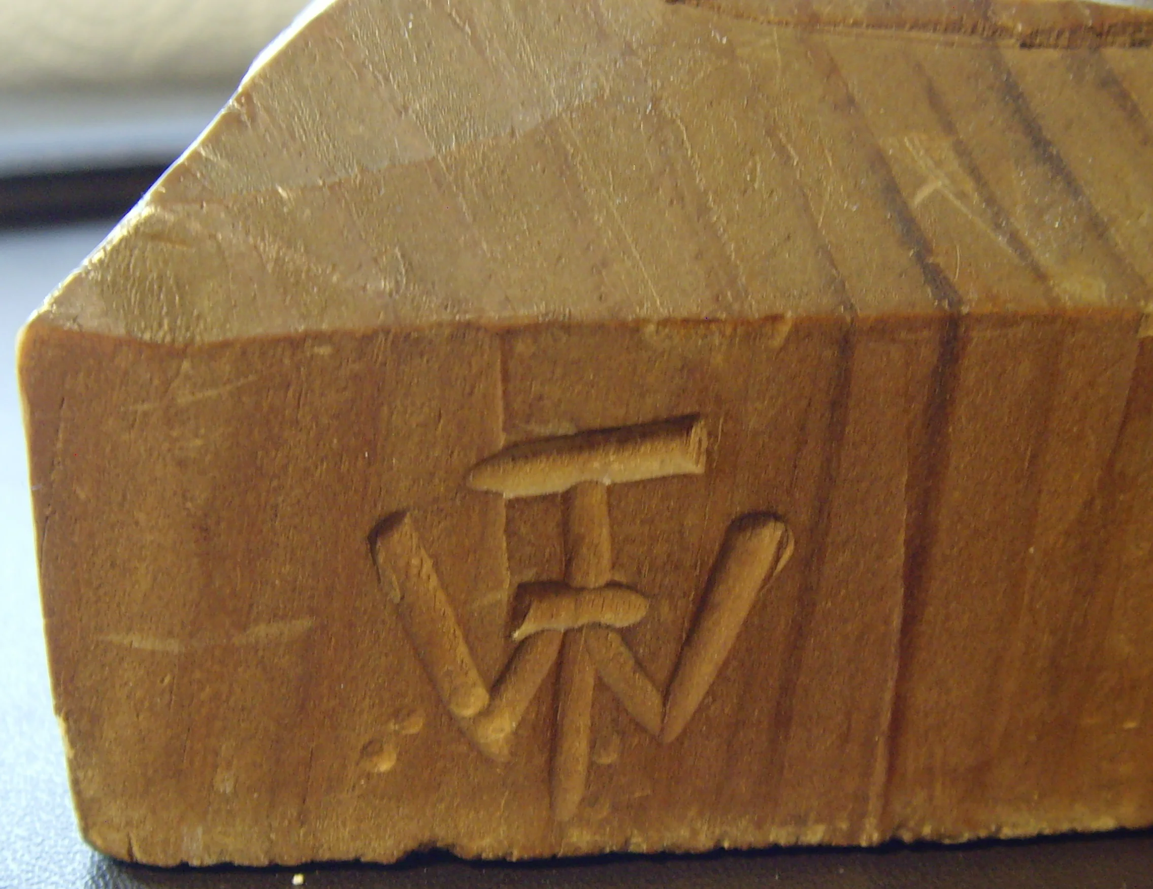 SNV31190.JPG