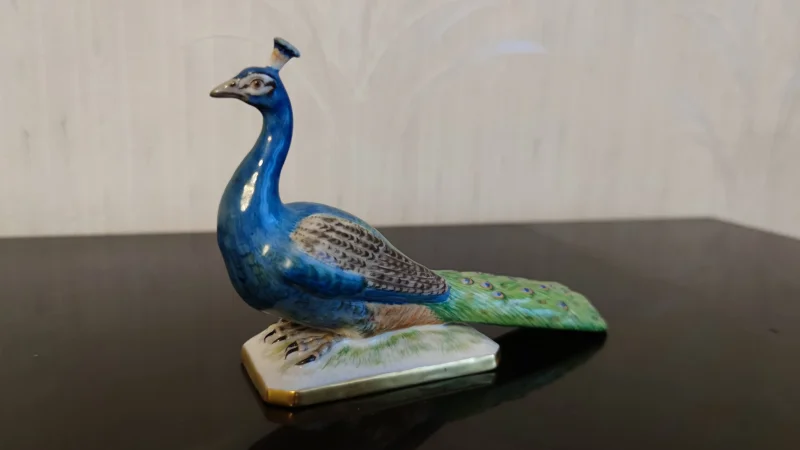 Pfau.jpg