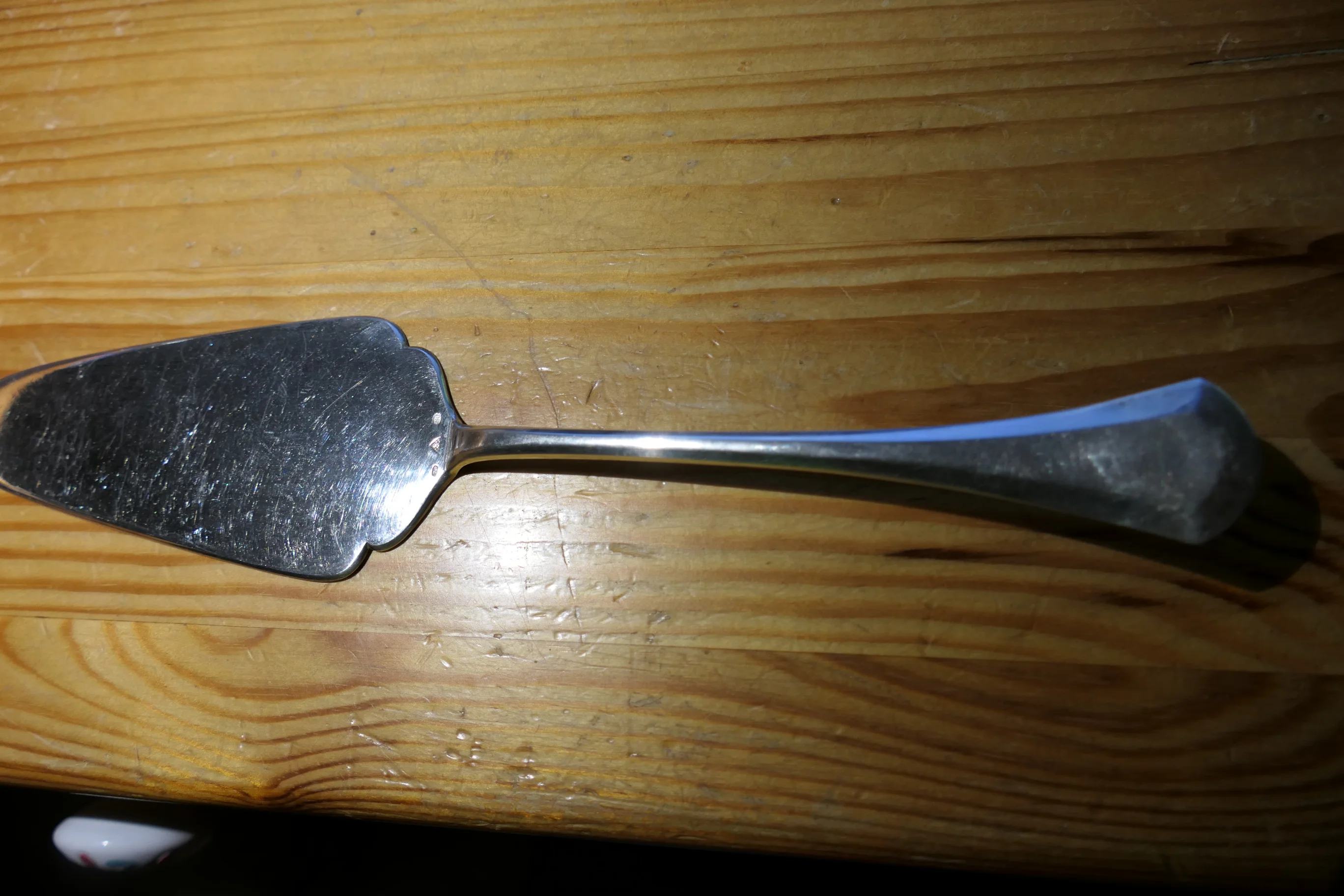 P1008834.JPG