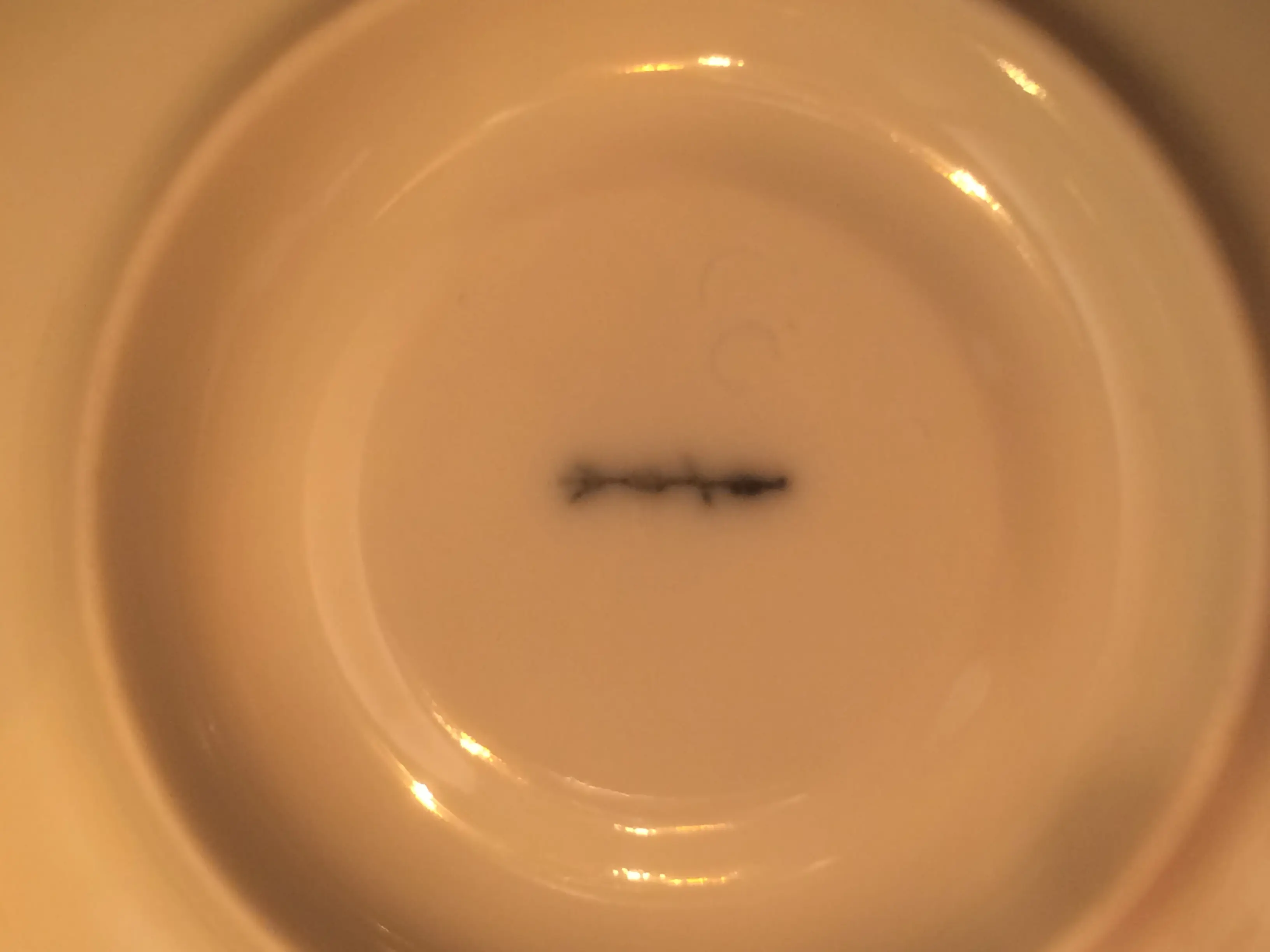 image4.jpeg