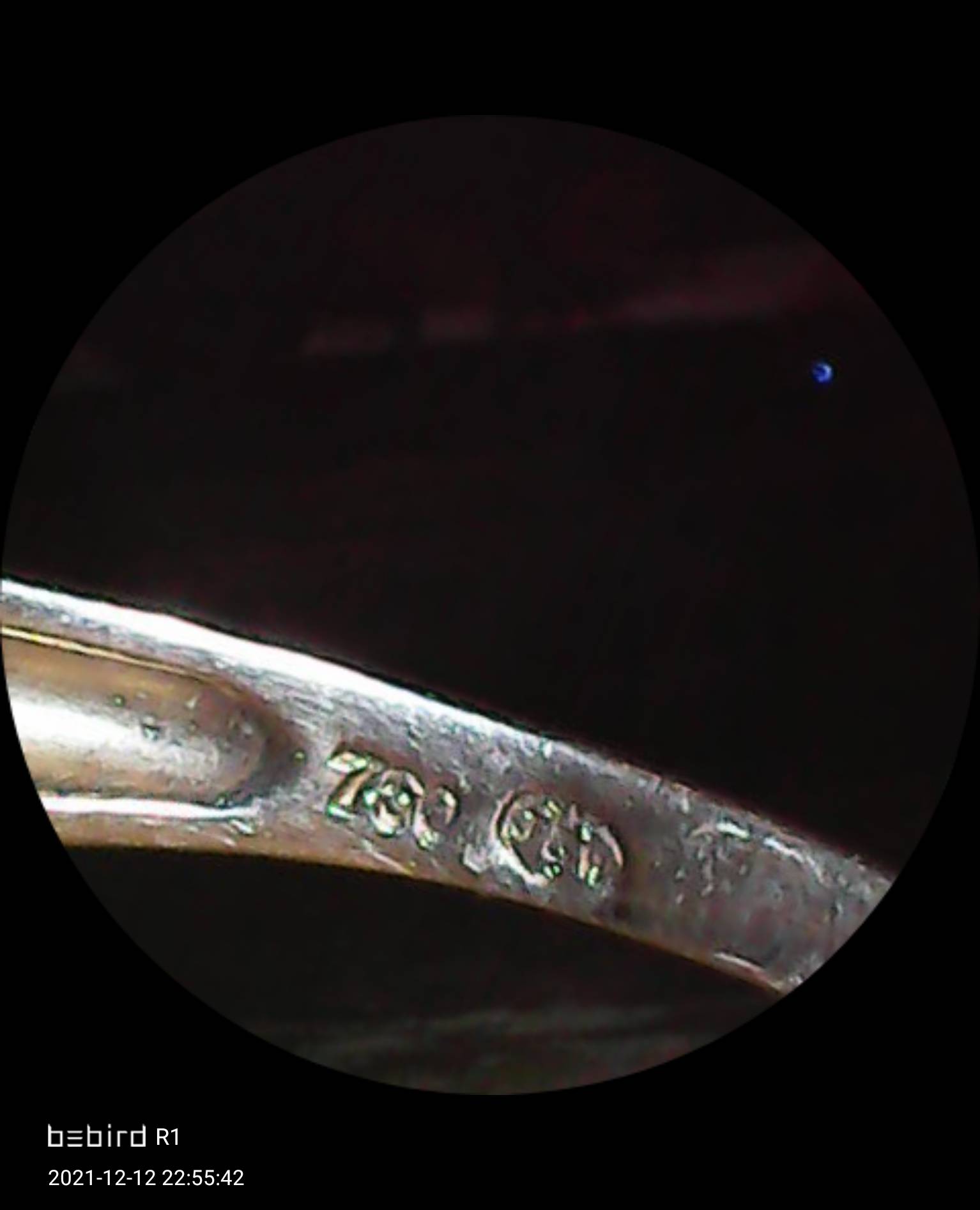 pic1639346142450.jpg