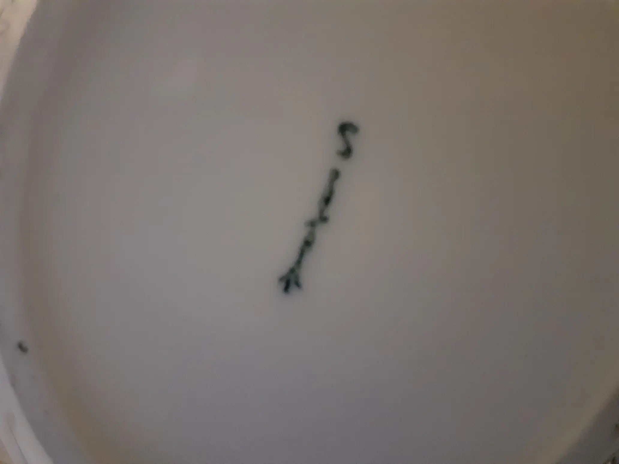 20211215_163011.jpg