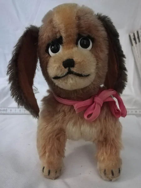 Hund_Schlappohren_02.jpg