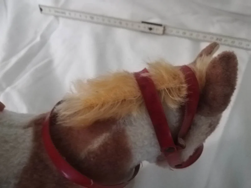 Pferd_02.jpg