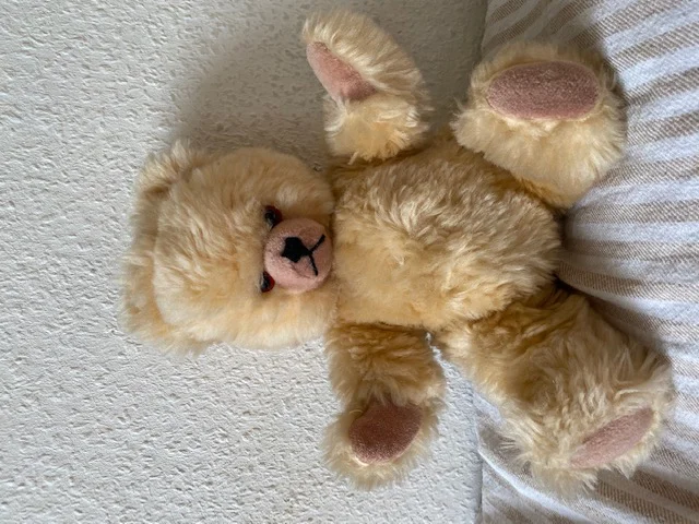 teddy.jpg