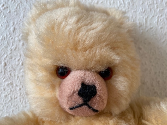 teddy_2.jpg